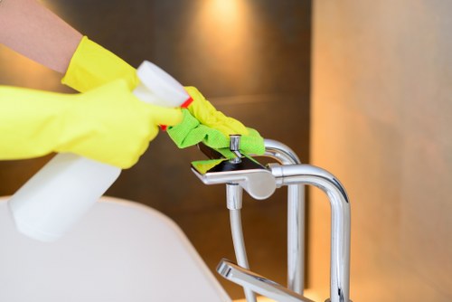 Deep pet odour removal from carpet and rugs in Dollis Hill