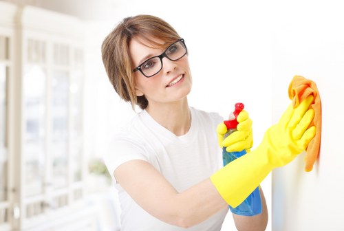 Upholstery cleaning process on a modern sofa