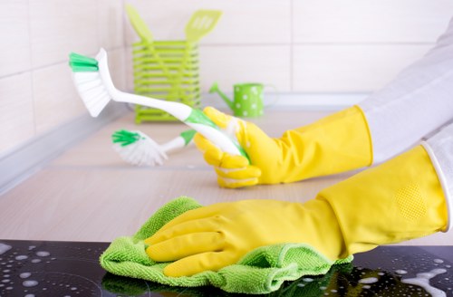 Professional carpet cleaning equipment in Dollis Hill home