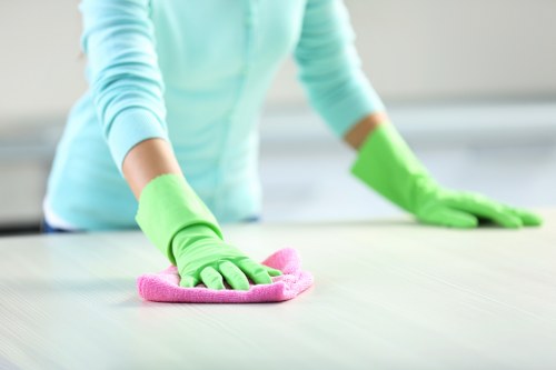 Vacuum and cleaning tools ready for a carpet cleaning job
