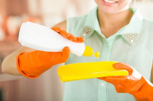 Professional pet stain treatment in a Dollis Hill home