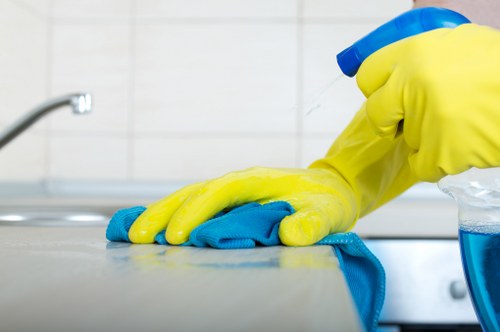 Team monitoring health and safety standards during carpet cleaning