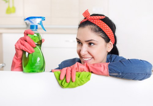 Documented carpet cleaning issue assessment