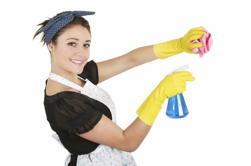 Free quote details for larger carpet cleaning jobs
